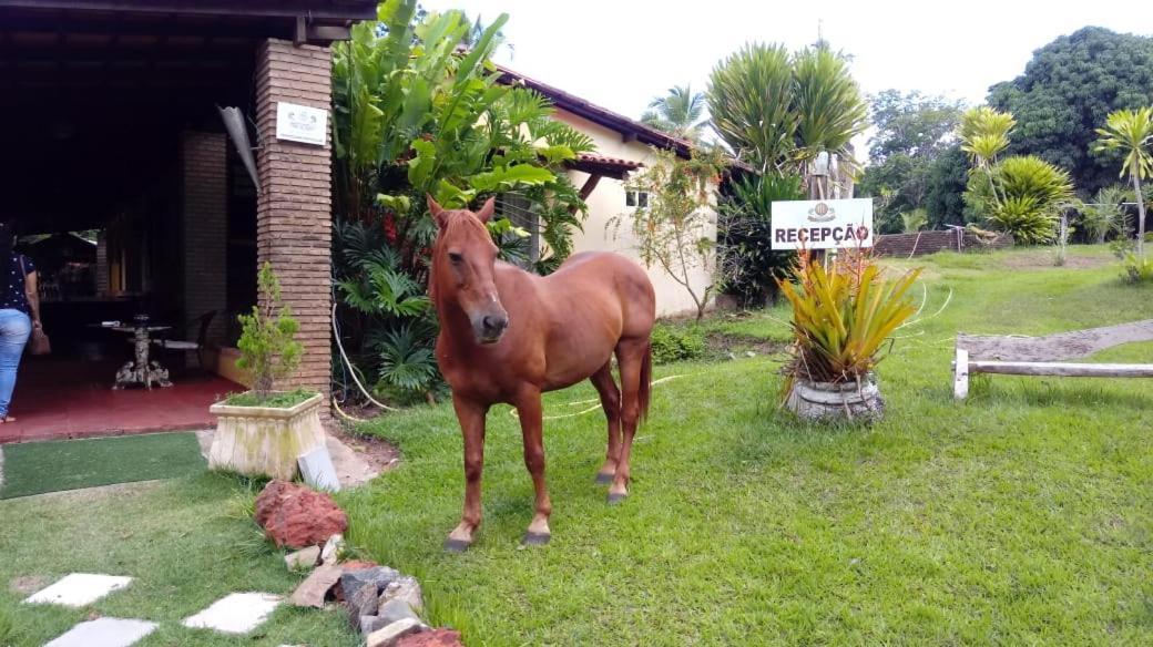 Hotel Fazenda Agua da Prata Agri Turismo Camacari Exterior foto